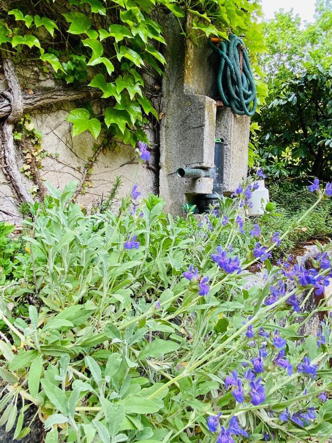 Les Chambres D'Hotes Du Bois Joli Semur-en-Auxois Kültér fotó